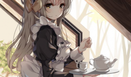 动漫女仆装,动漫世界中的优雅与魅力